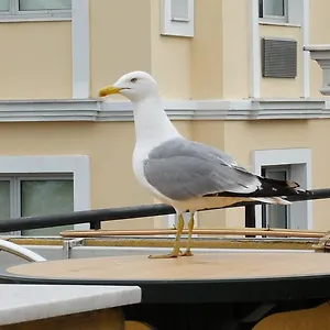 buradan rezervasyon yapın